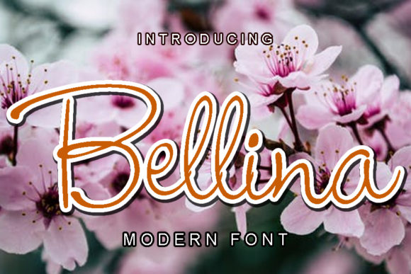 Bellina Typeface Review: A Romantic Script for Branding