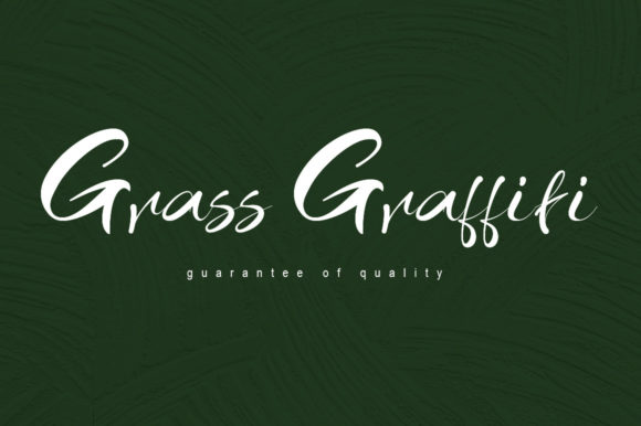 Grass Graffiti: A Handwritten Font for Editorial Charm