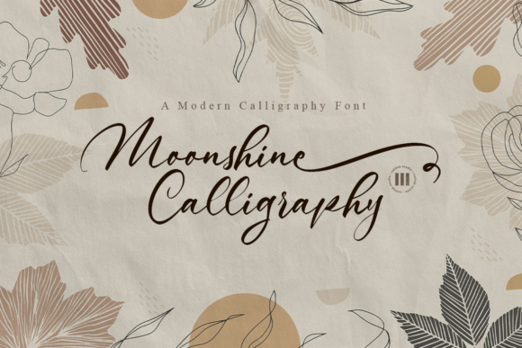 Moonshine Calligraphy: A Versatile Script Font for Web Design