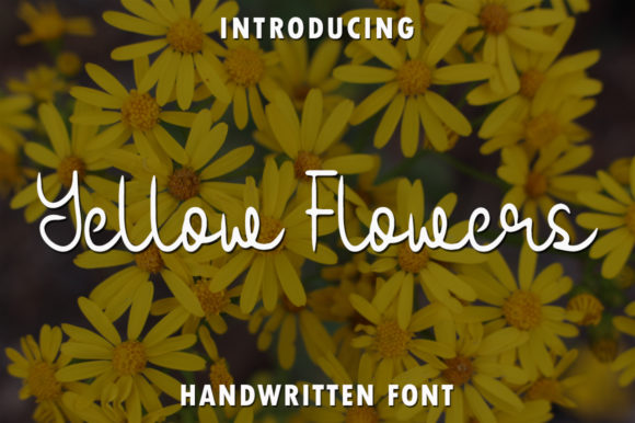 Yellow Flowers: A Designer’s Honest Review
